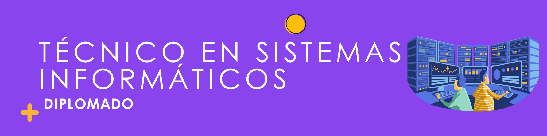 Técnico en sistemas informáticos