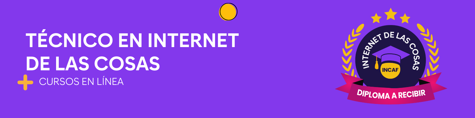 Técnico en internet de las cosas