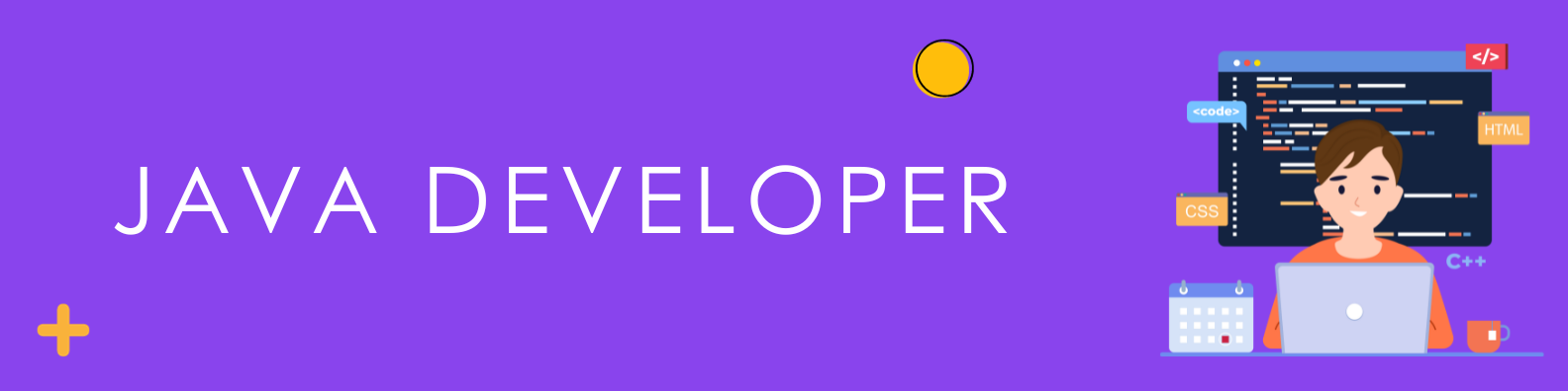 JAVA DEVELOPER