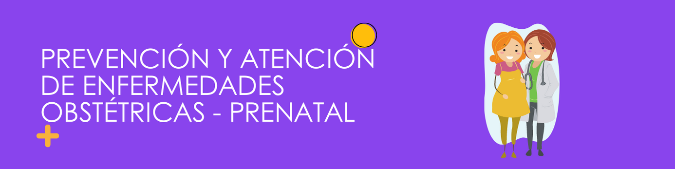 Prevención y Atención de Enfermedades Obstétricas - Prenatal