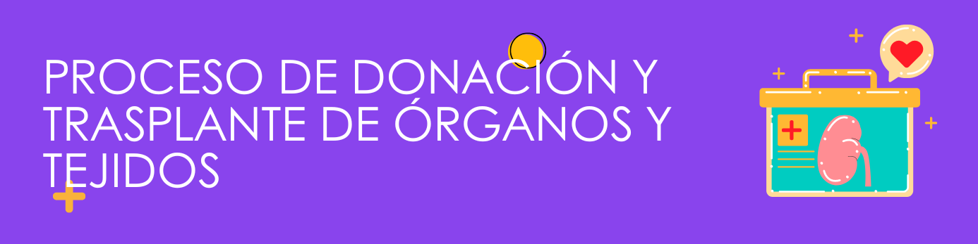 Proceso de donación y trasplante de órganos y tejidos