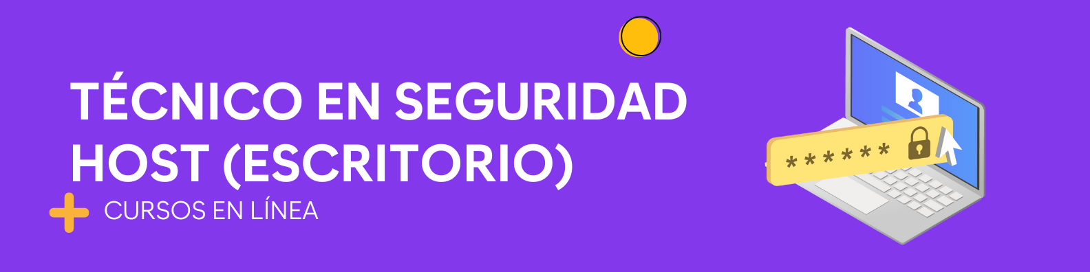Técnico en seguridad host (escritorio)
