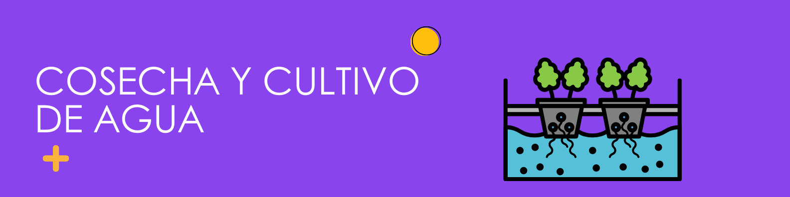 Cosecha y cultivo de agua