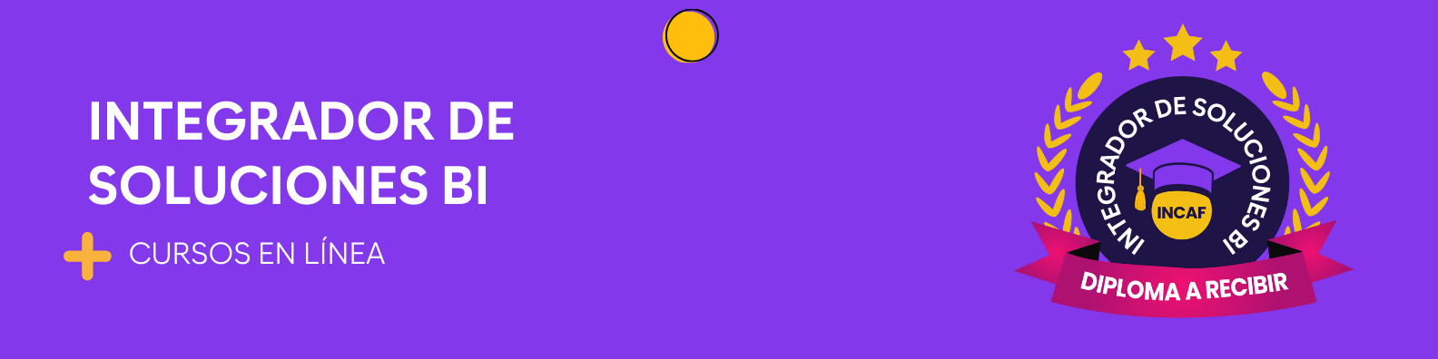 Integrador de soluciones BI