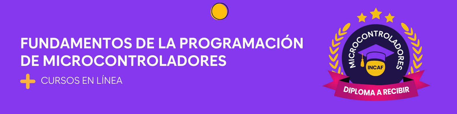 Fundamentos de la programación de microcontroladores