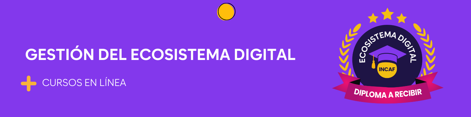 Gestión del ecosistema digital