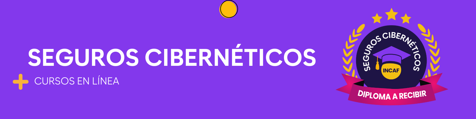 Seguros cibernéticos