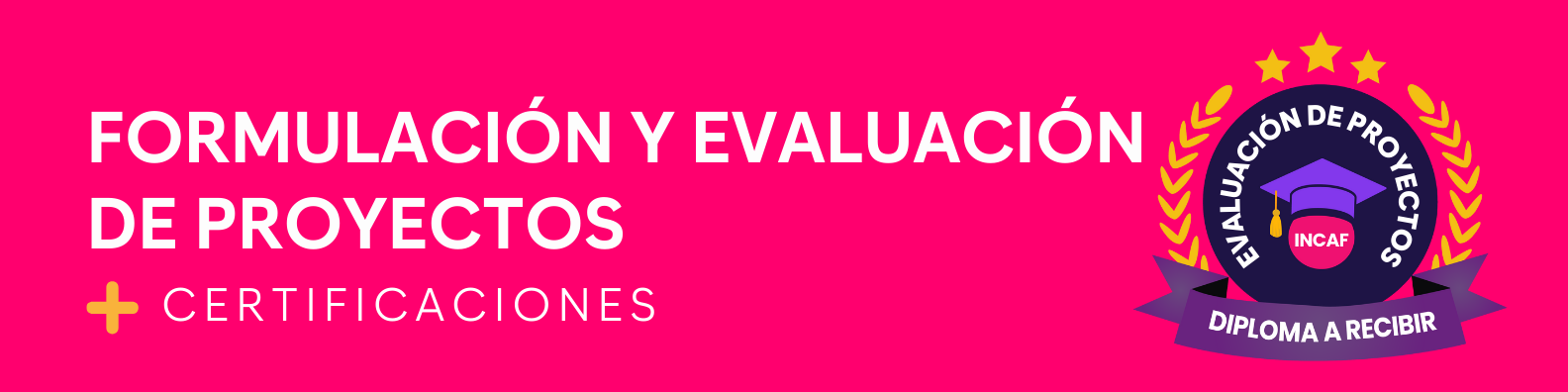 Formulación y evaluación de proyectos