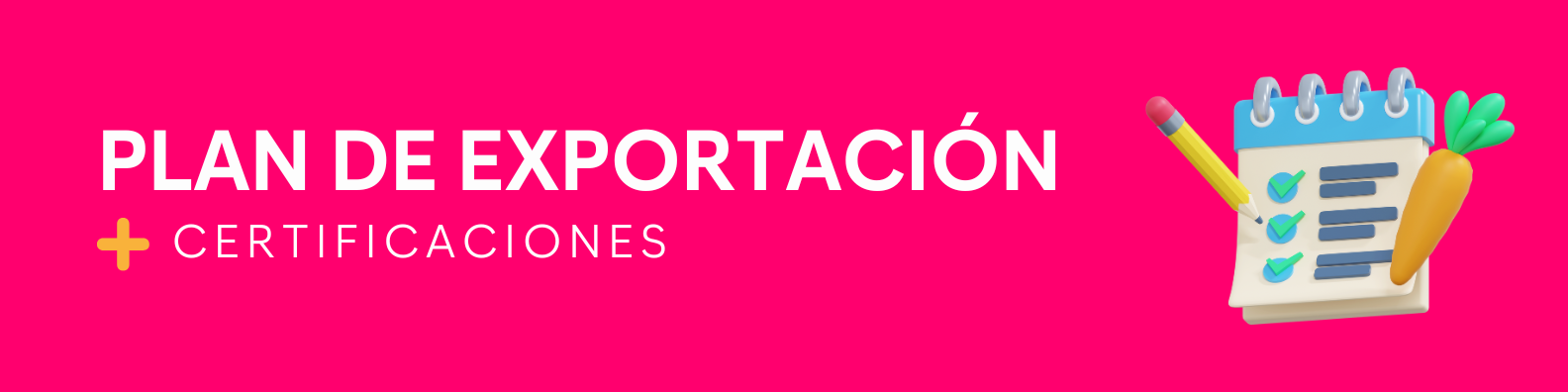 Plan de exportación