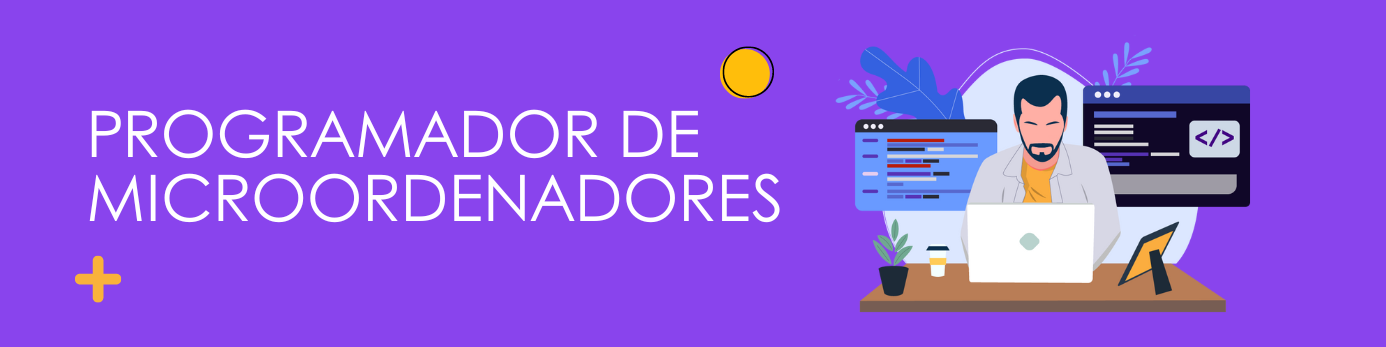 Programador de microordenadores